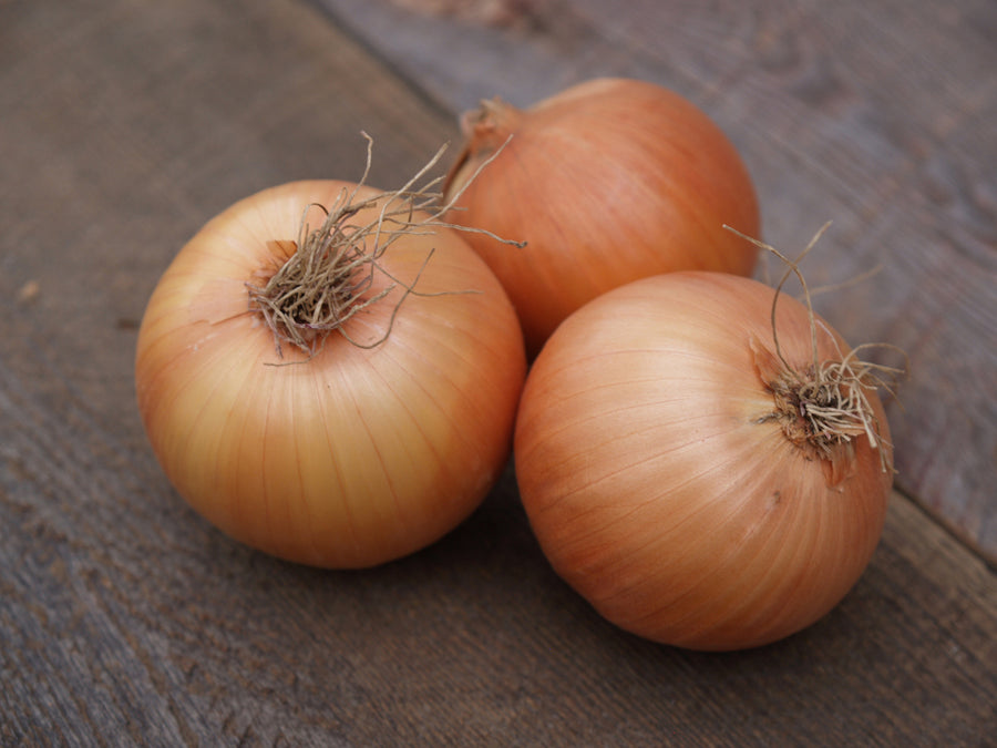 Onions, Cartier Hybrid