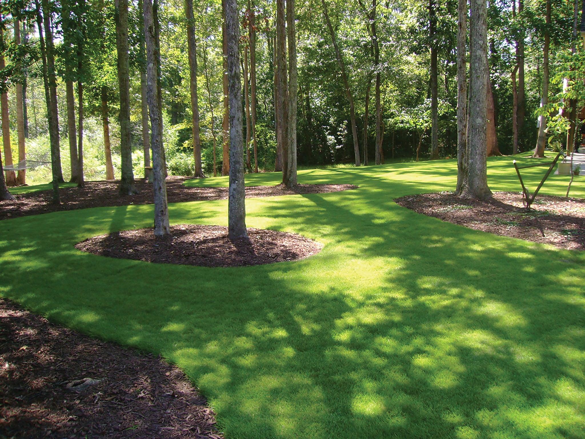 planting grass seed in shady areas Grass Seed, Shady Hollow Mix – William Dam Seeds