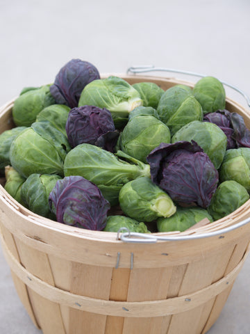 Brussels Sprouts