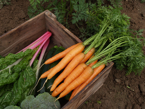Carrots