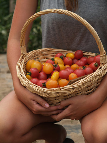 Tomatoes