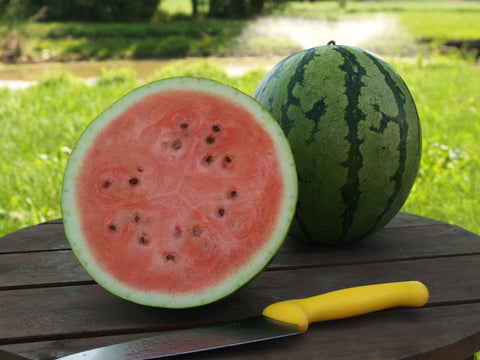 Watermelon