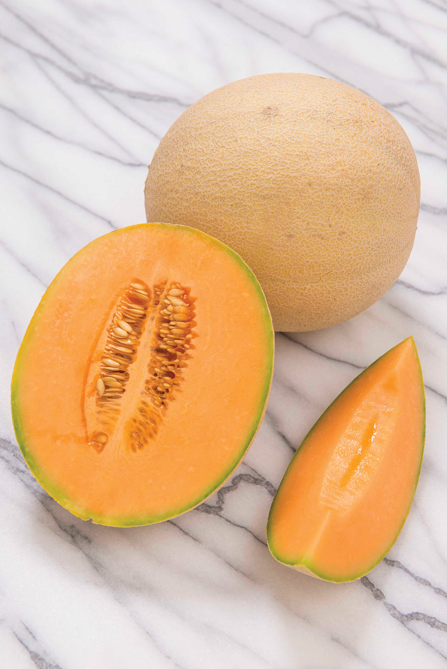 melon様 Melons, Sarahs Choice Hybrid – William Dam Seeds