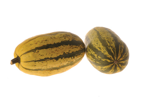 Winter Squash, Stripetti Hybrid