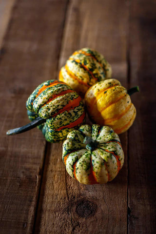 Winter Squash, Thriller Hybrid