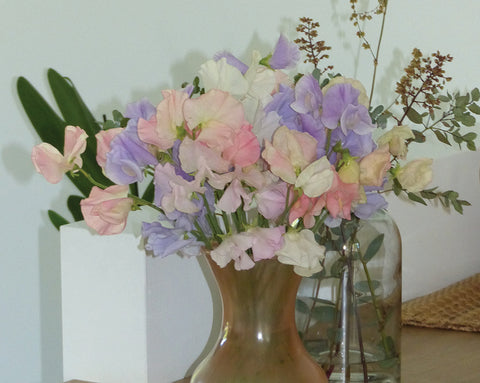 Sweet Peas, Above the Clouds