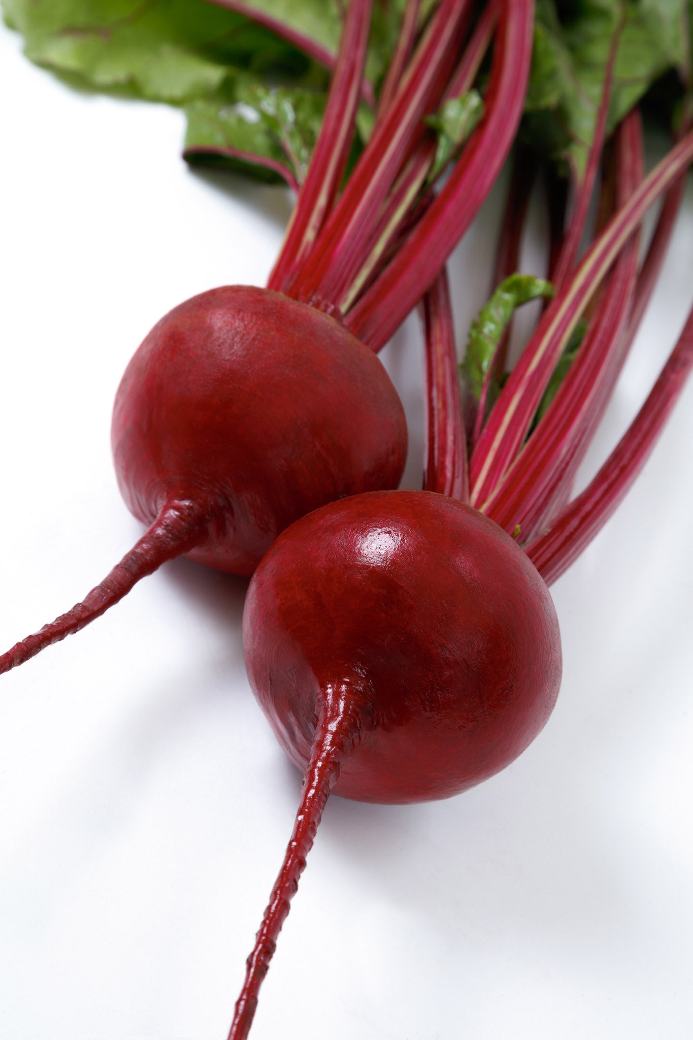 Beets, Borealis F-1 – William Dam Seeds