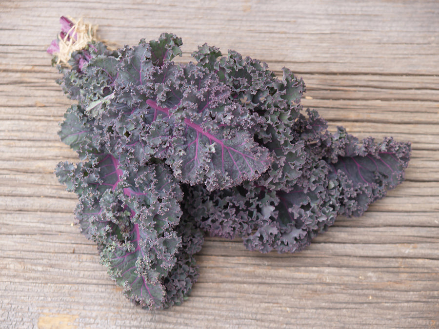 Kale, Red Volants