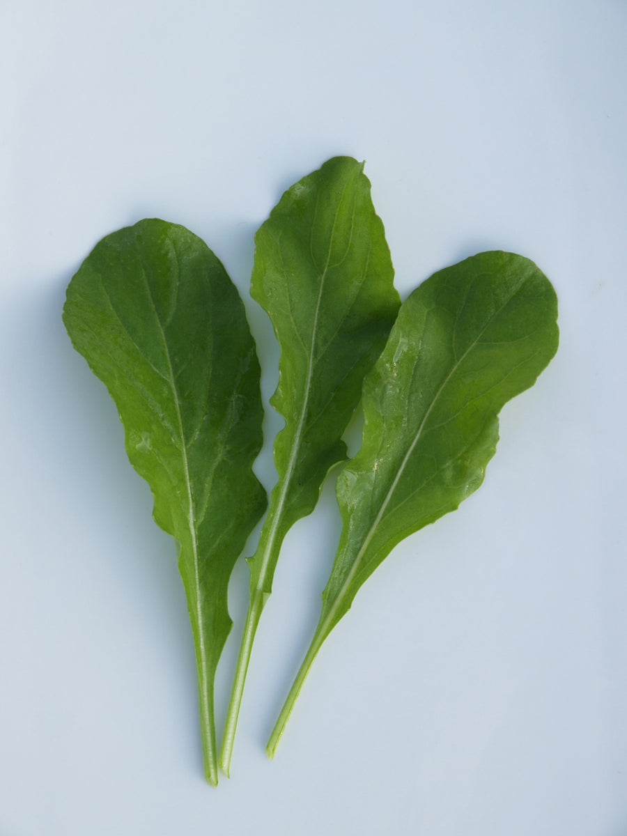 Arugula, Astro Organic