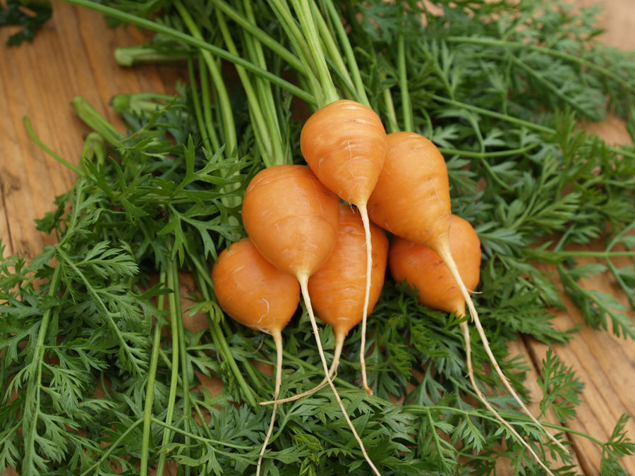 Carrots, Paris Market Atlas