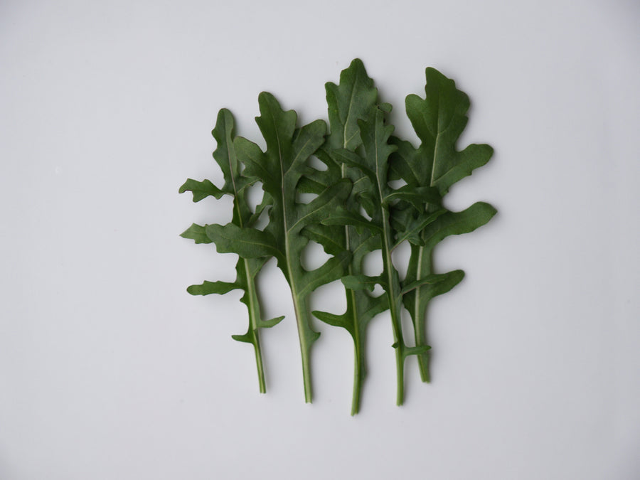 Arugula, Bellezia Organic