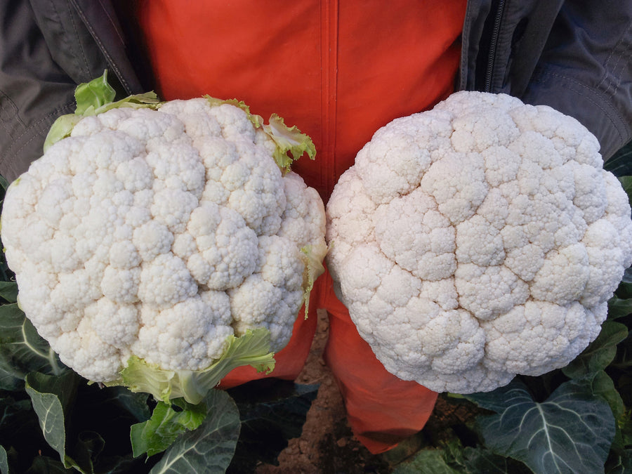 Cauliflower, Amazing