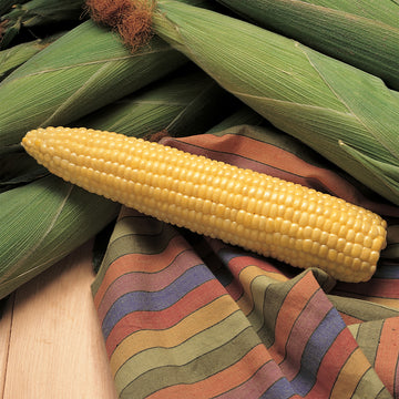 Corn, Honey Select Hybrid