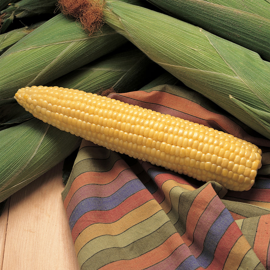 Corn, Honey Select Hybrid
