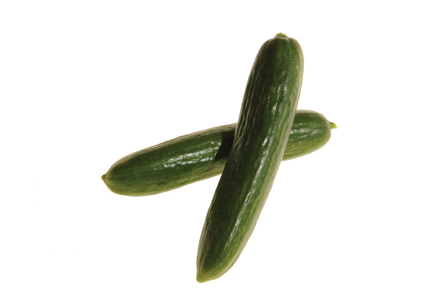 Cucumber, Mercury F-1