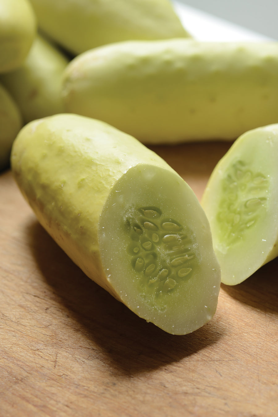 Cucumber, Martini Hybrid