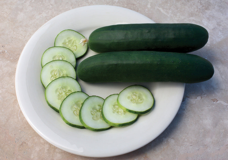 Cucumber, Slice More Hybrid