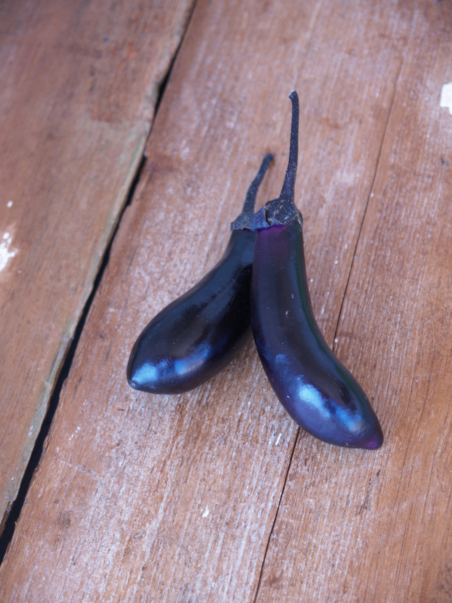 Eggplant, Millionaire Hybrid