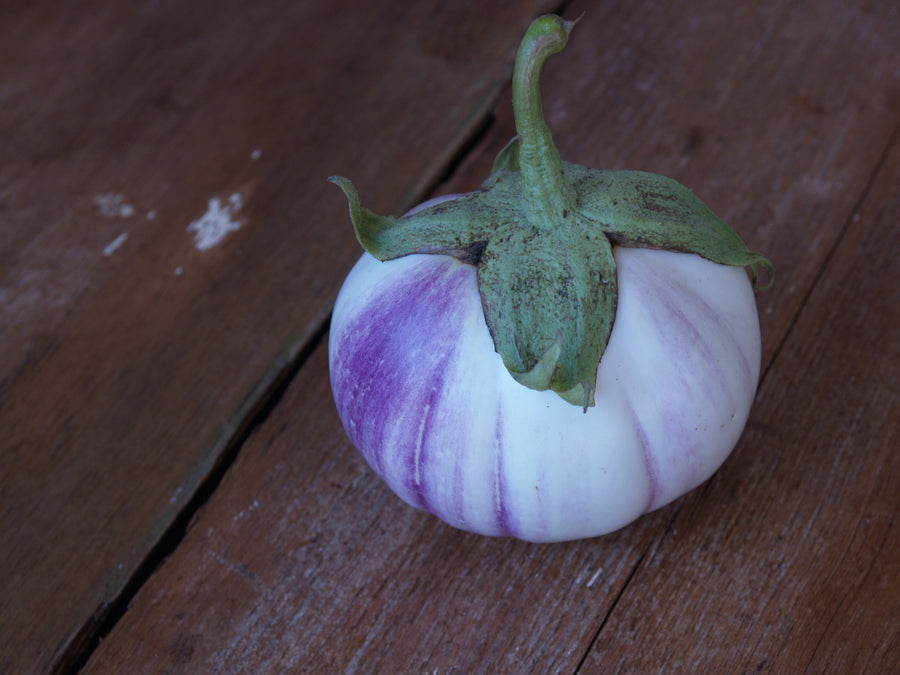 Eggplant, Rosa Bianca Organic