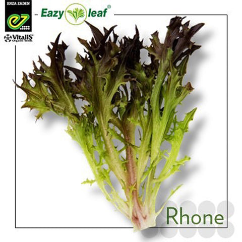 Lettuce, Rhone Organic