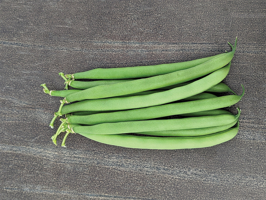 Beans, Antigua Organic