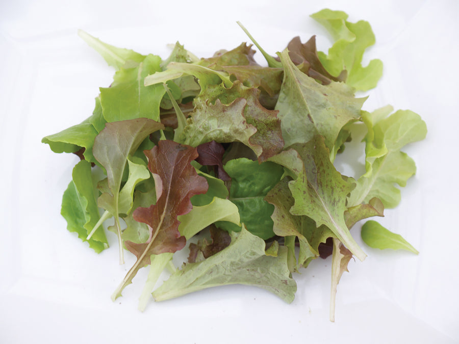 Lettuce, Bon Vivant Salad Mix