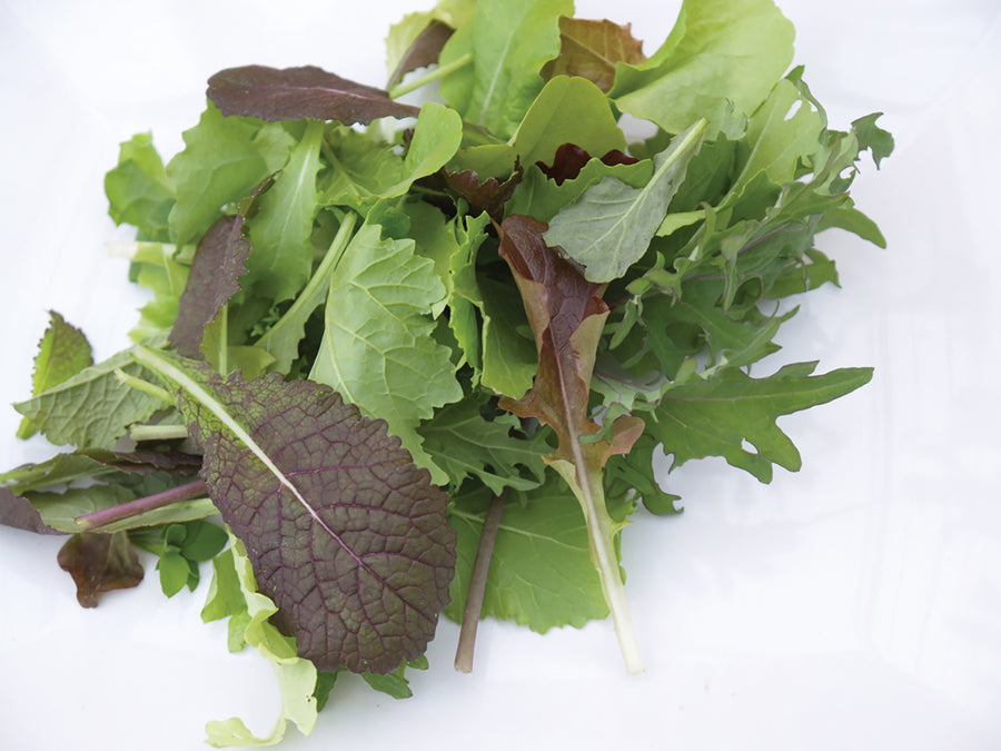 Lettuce, Healthkick Salad Blend