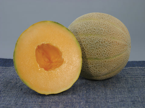 Melons, Earlichamp Hybrid