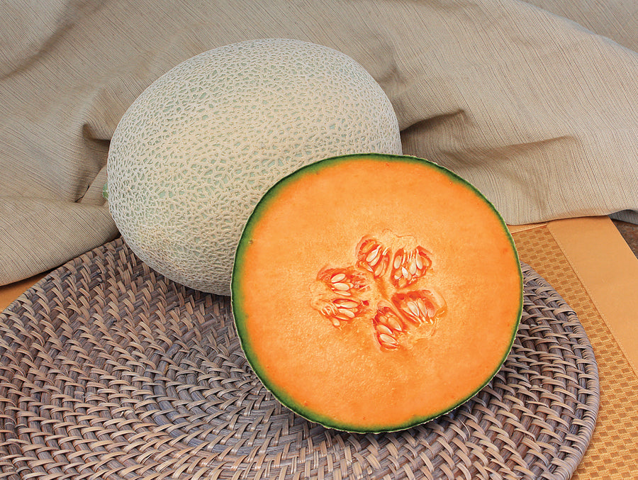 Melons, Timeless Gold Hybrid