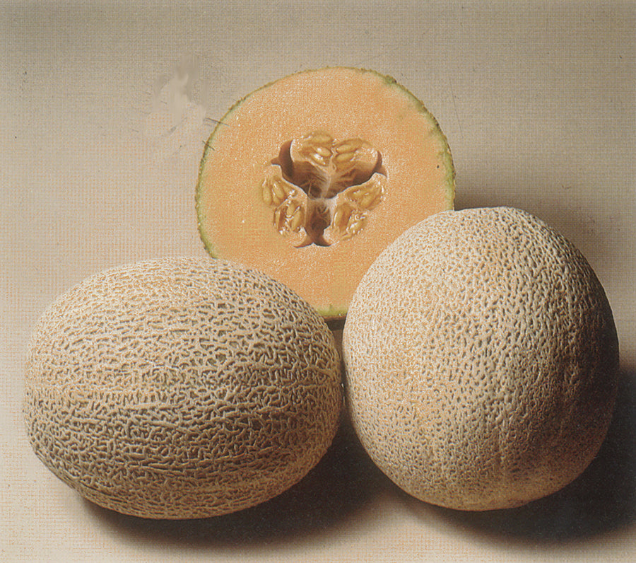 Melons, Hales Best