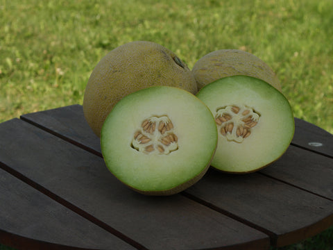 Melons, Diplomat Hybrid