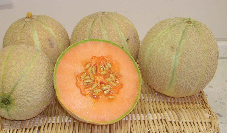 Melons, Sivan Hybrid Organic