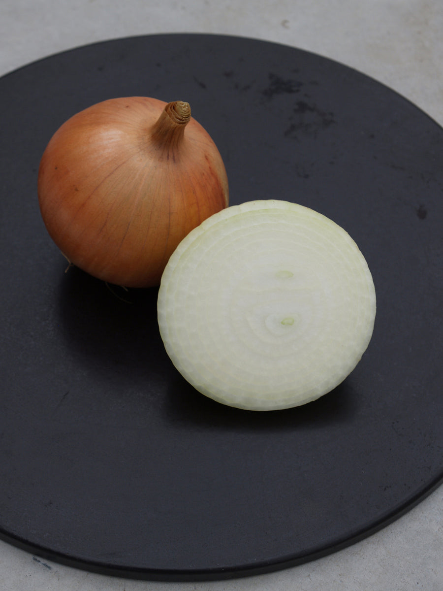 Onions, Spanish Medallion Hybrid
