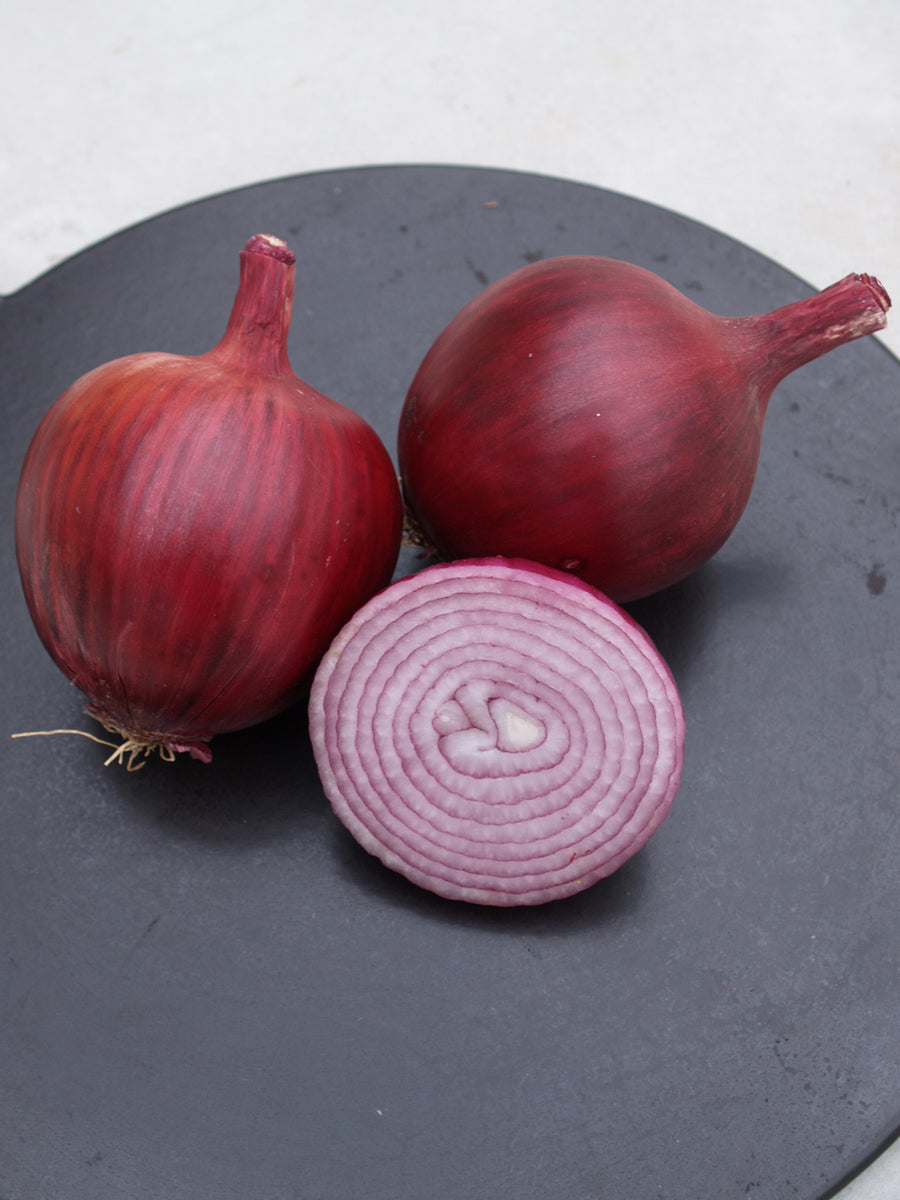 Onions, Red Carpet Hybrid Organic