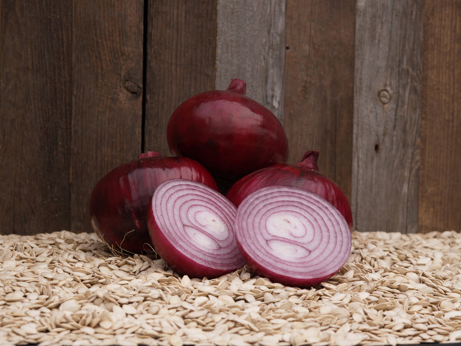 Onions, Red Label Hybrid