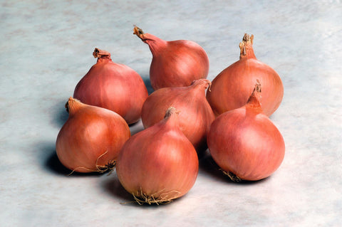 Onions, Matador Hybrid Organic