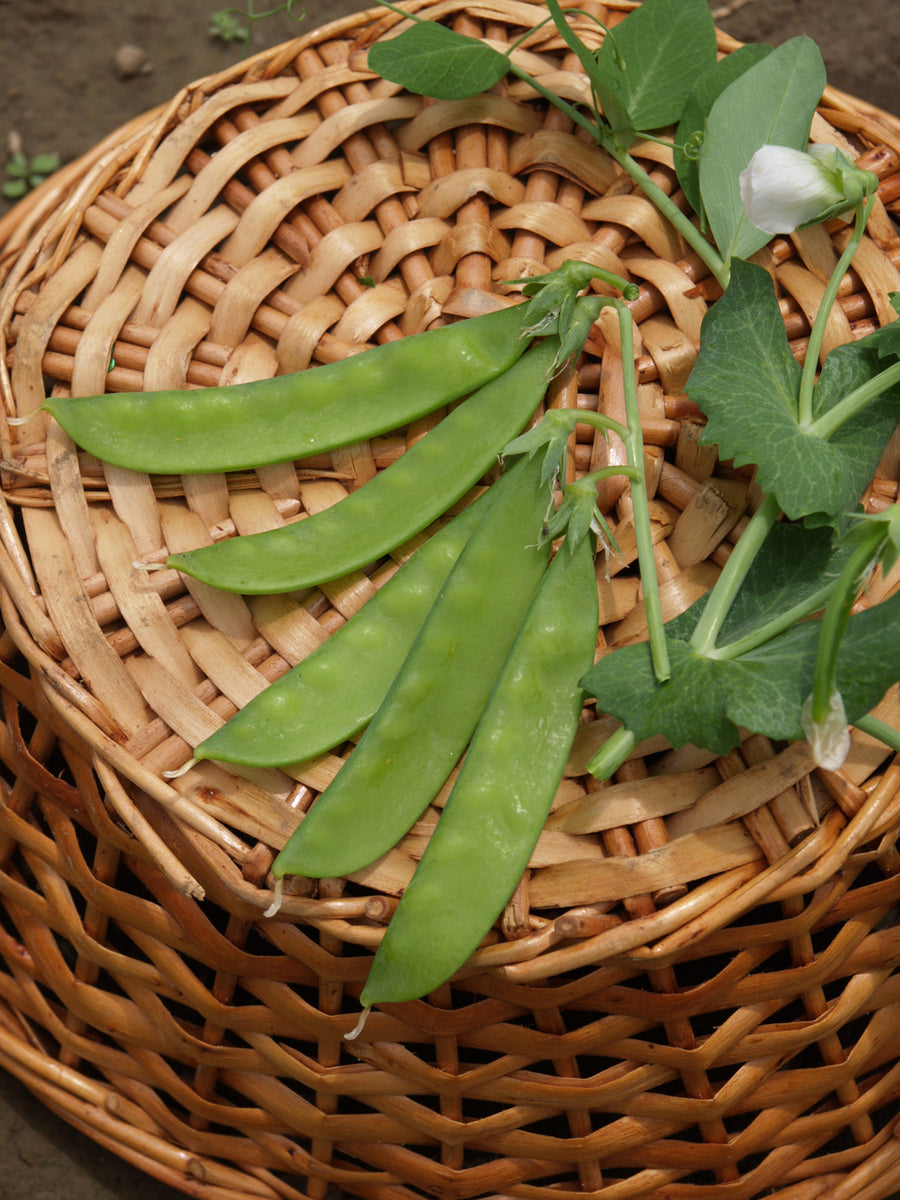 Peas, Norli Organic