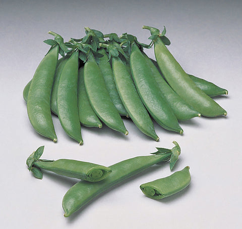 Peas, Sugar Sprint