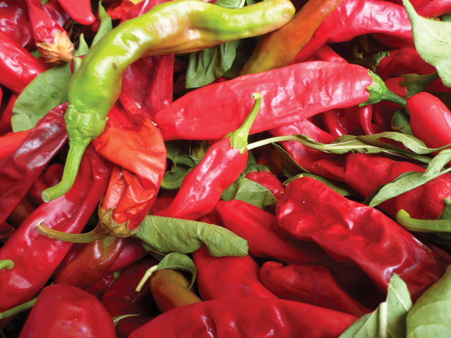 Peppers, Sweet Paprika Organic