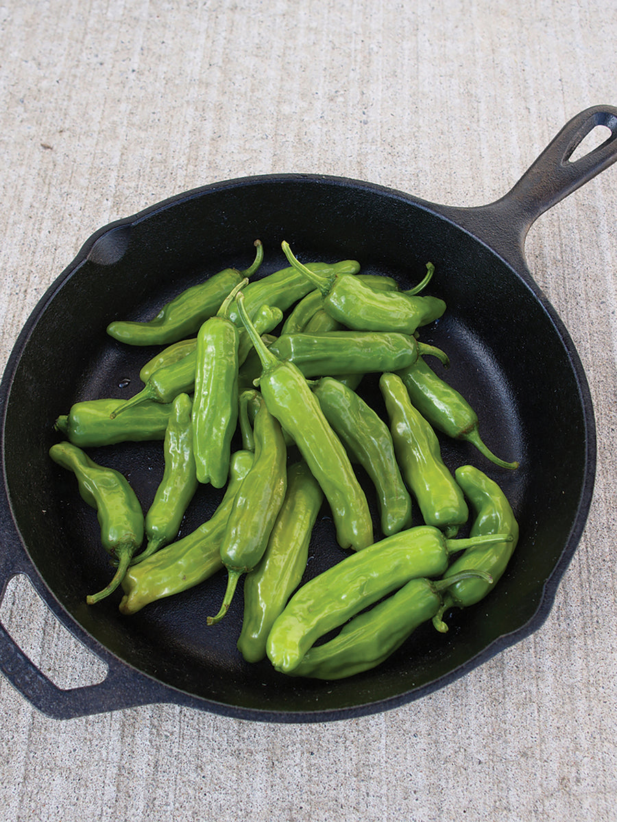 Peppers, Takara Hybrid