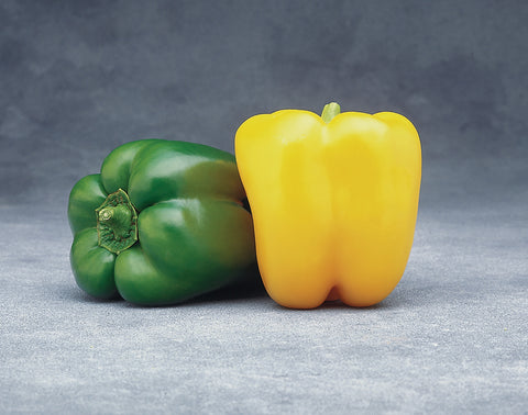 Peppers, Golden Star Hybrid
