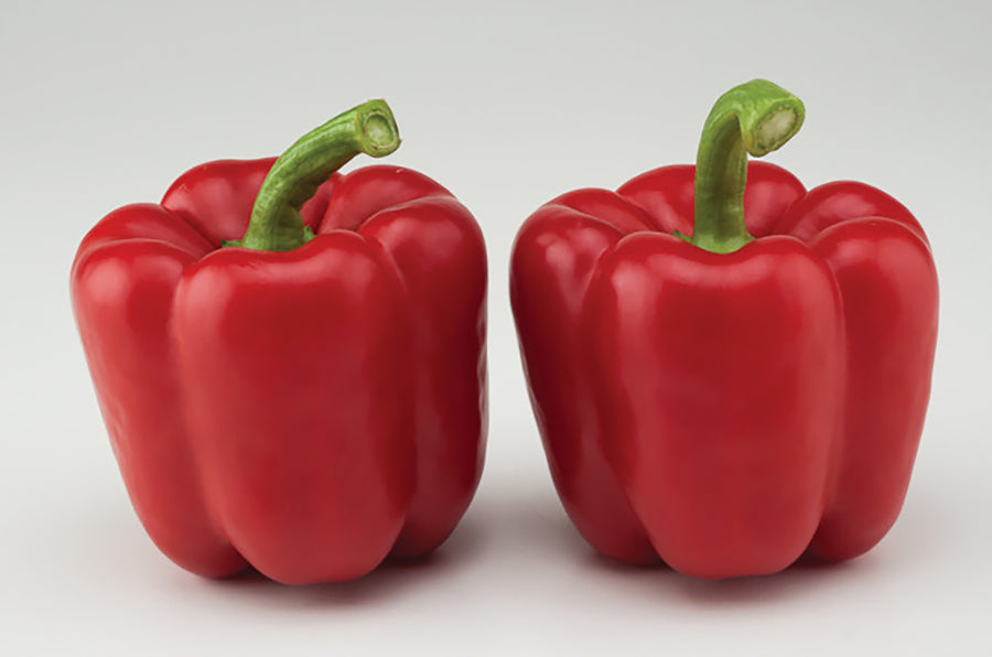 Peppers, Red Knight Hybrid