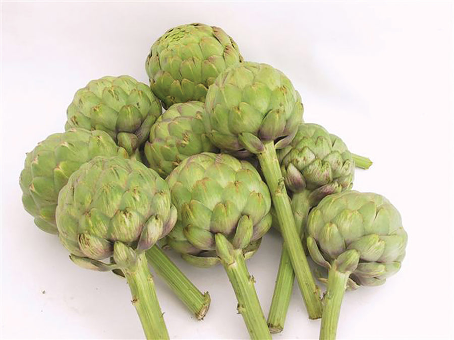 Artichoke, Imperial Star(Tavor) Hybrid Organic