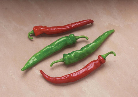 Peppers, Cheyenne Hybrid