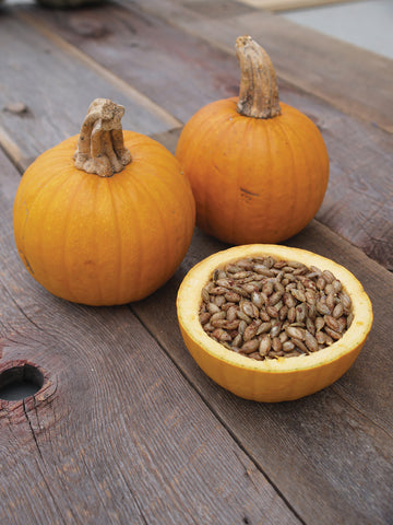 Pumpkin, Naked Bear Hybrid