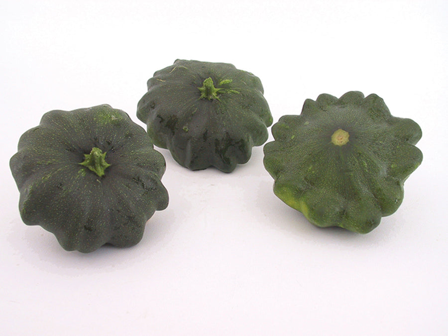 Summer Squash, G-Star Hybrid Organic