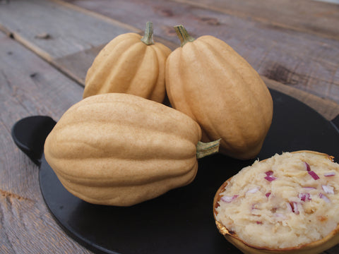 Winter Squash, Baked Potatoes Hybrid