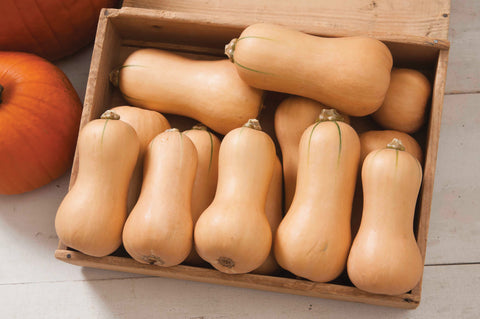 Winter Squash, Butterscotch Hybrid Organic
