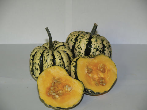 Winter Squash, Heart of Gold Hybrid