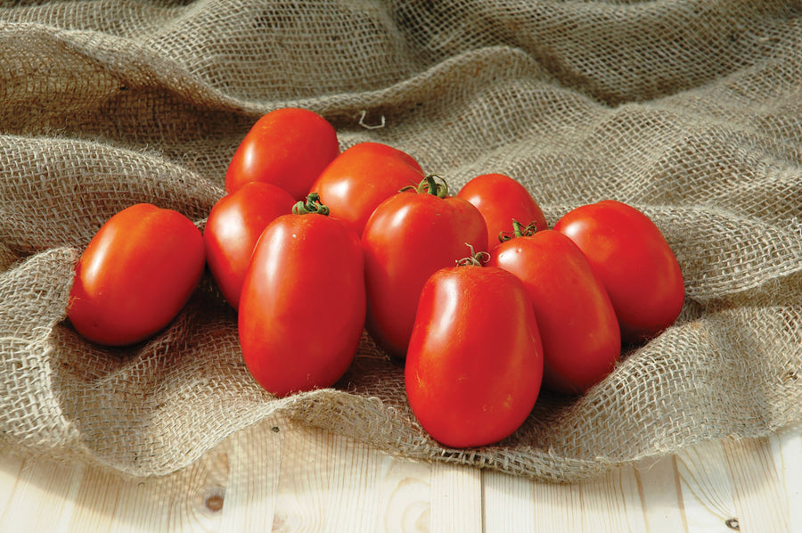 Tomatoes, Pony Express Hybrid